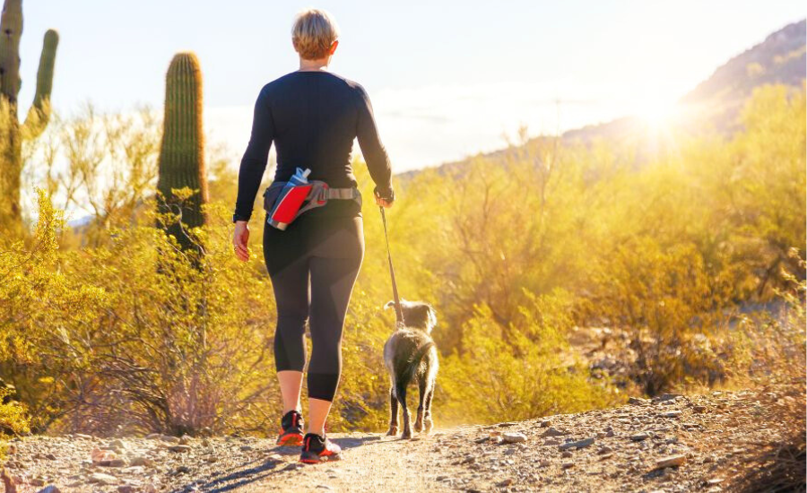 Woman with dog on sunny path
