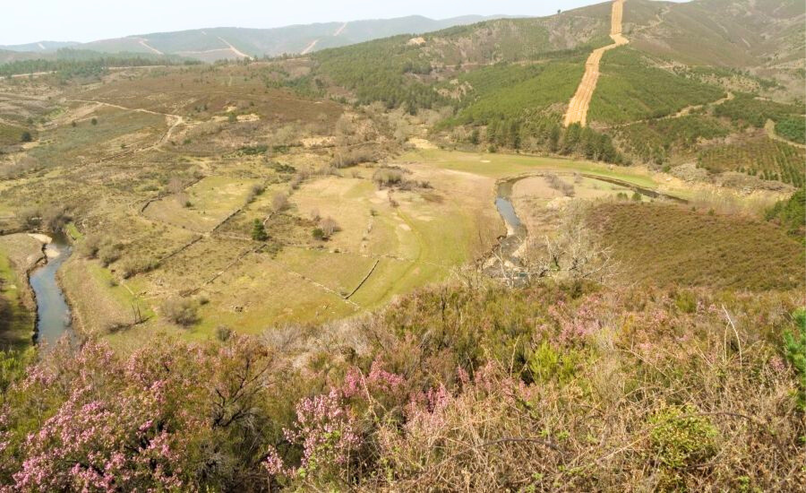 Campobecerros