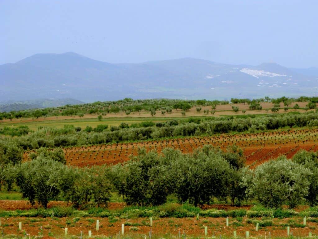 Almendralejo