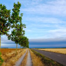 Camino