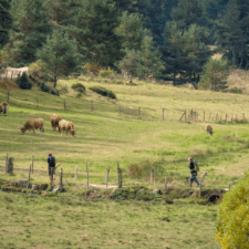 Hills Le Puy