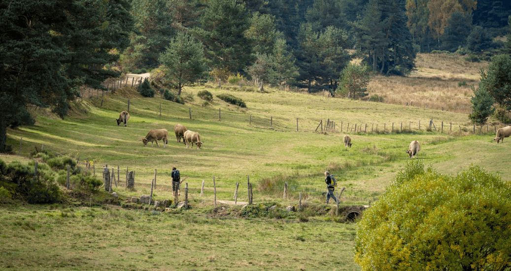 Hills Le Puy