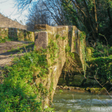 Nature Camino Primitivo