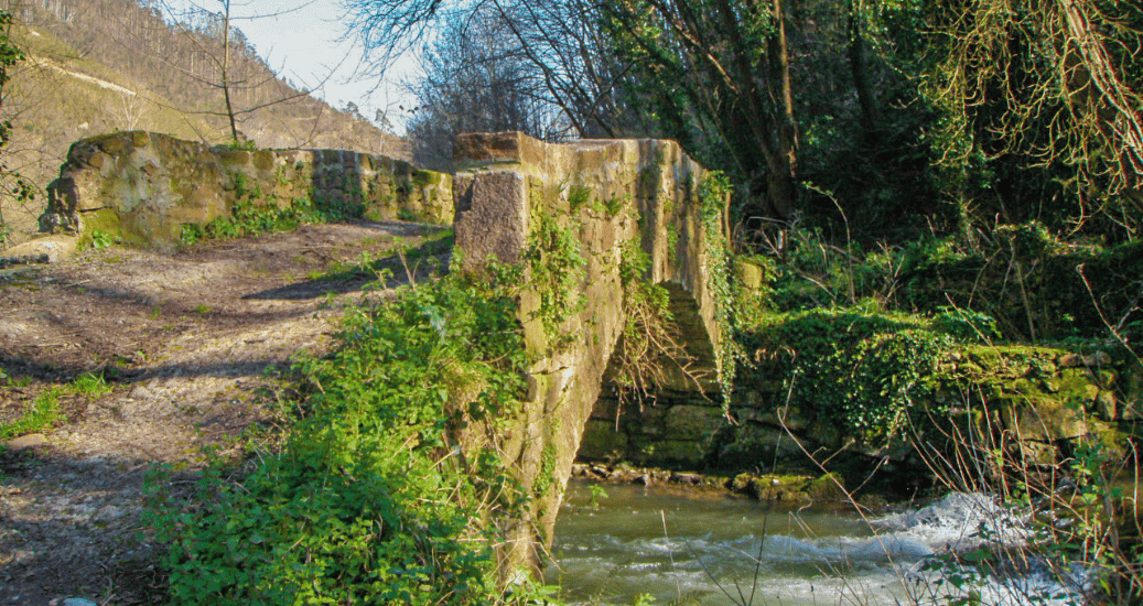 Nature Camino Primitivo