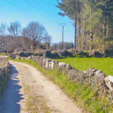 Camino Primitivo