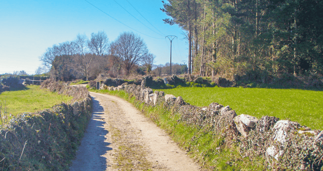 Camino Primitivo