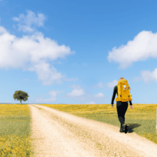 Pilgrim walking through yellow fields