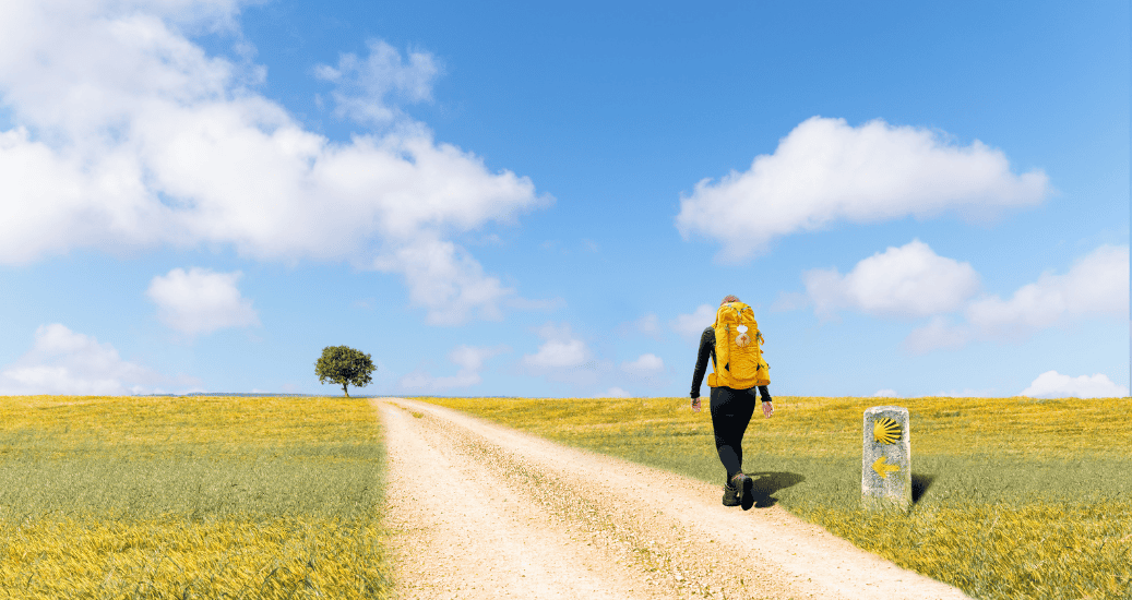 Pilgrim walking through yellow fields