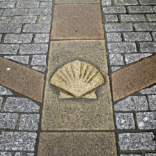 Scallop shell on camino path
