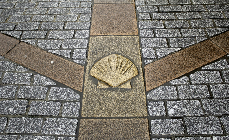 Scallop shell on camino path