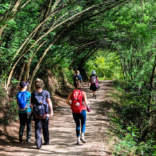Pilgrims in the forest