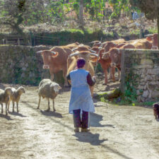 farmer on the camino