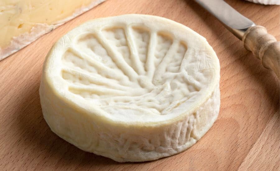 Cheese