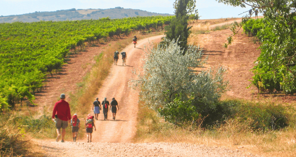 Pilgrims walking in groups Camino Frances