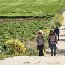 Pilgrims walking front