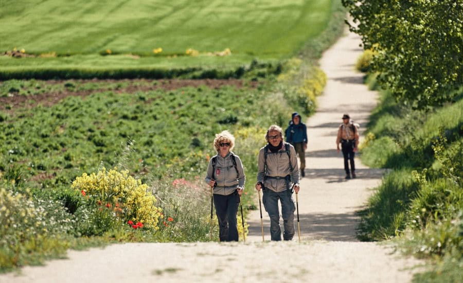 Pilgrims walking front