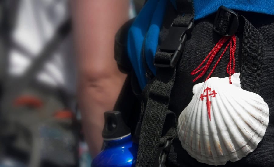 backpack shell