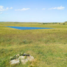 aubrac
