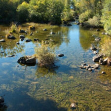stream