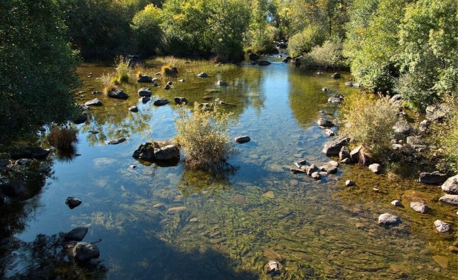 stream