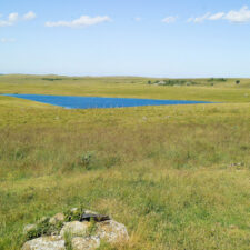 Aubrac