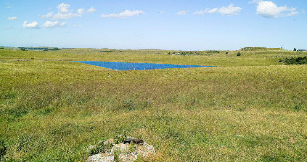 Aubrac