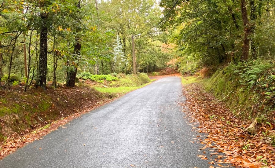 Autumn Path to Finiesterre