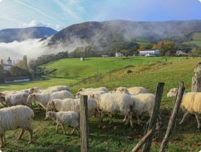 Basque Country
