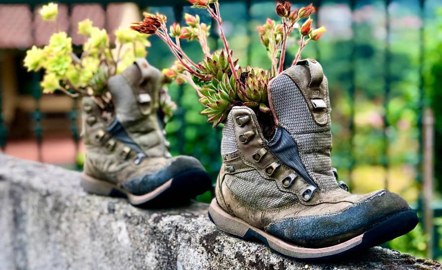 Boots blossom