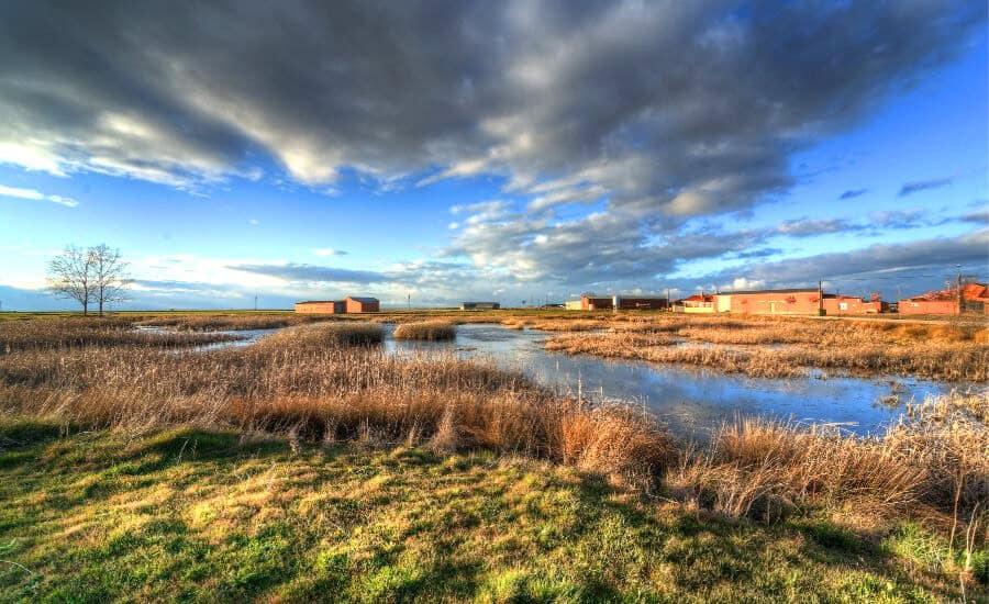 Burgo Ranero Landscape