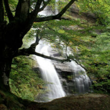 Cascada De Aguas Cernidas