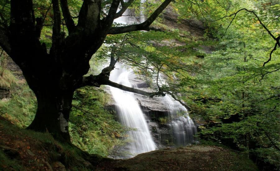 Cascada De Aguas Cernidas