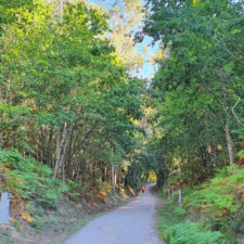 Camino Portugues