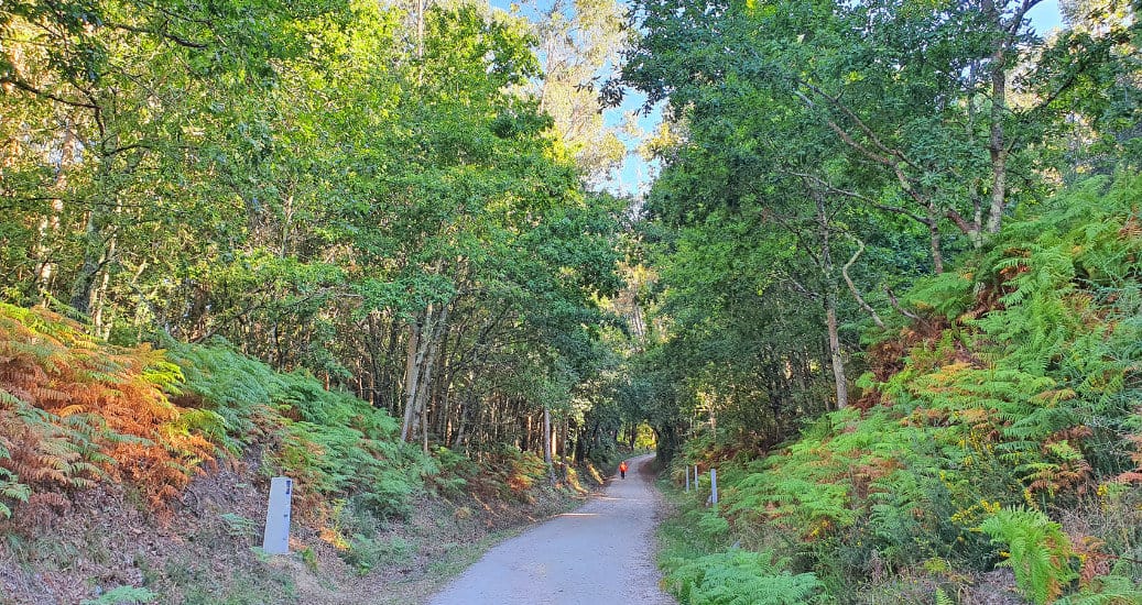 Camino Portugues
