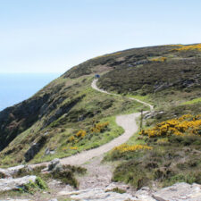 Camino Portugues