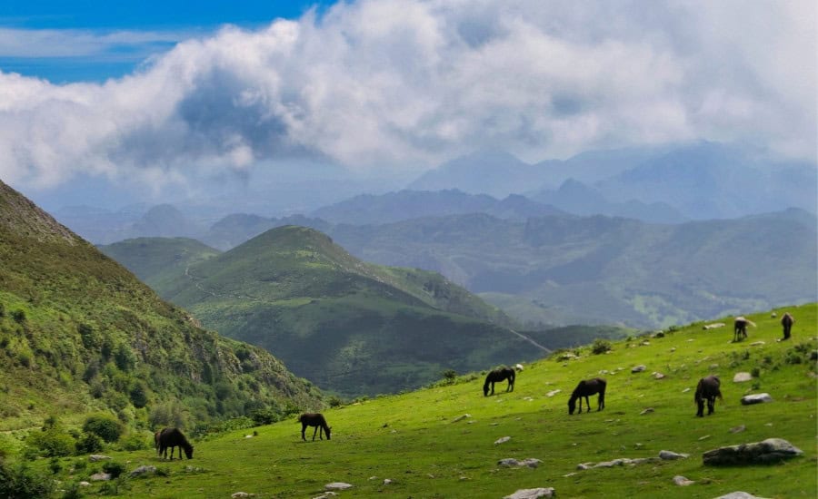 Colunga Sierra Del Sueve