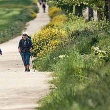 Pilgrims front meseta