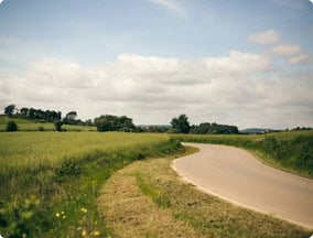 Green field camino