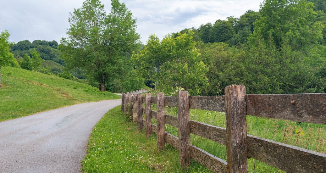 Field and buildings of Roncesvalles
