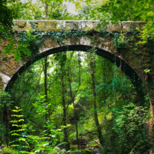Fragas Do Eume Bridge