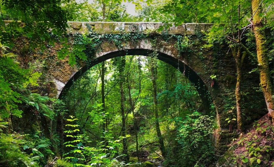 Fragas Do Eume Bridge
