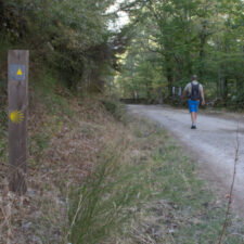 Camino walker