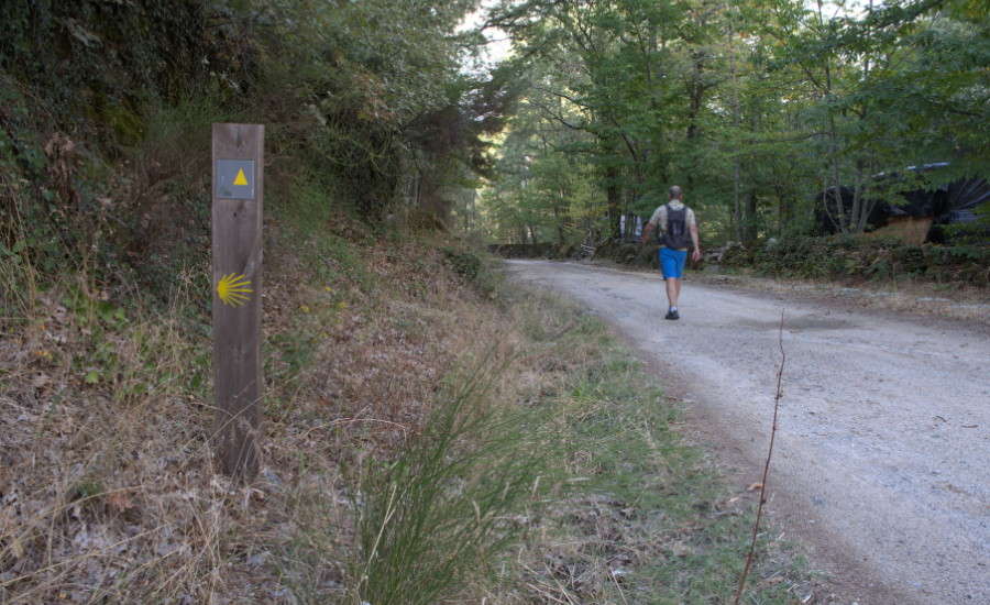 Camino walker