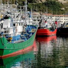 Getaria Harbour