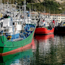 Getaria Harbour