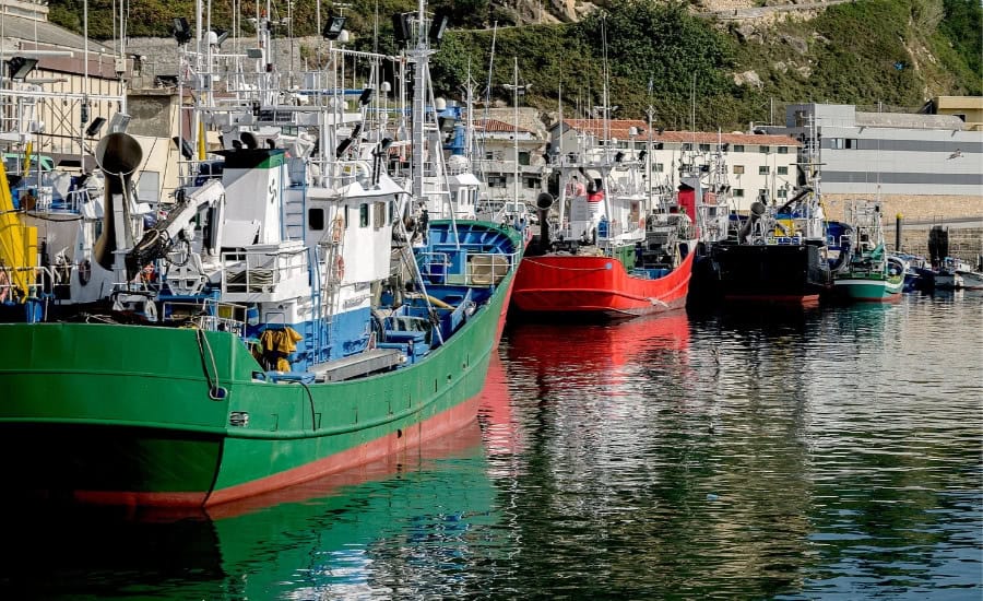 Getaria Harbour