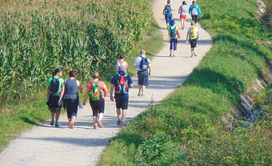 Group walking