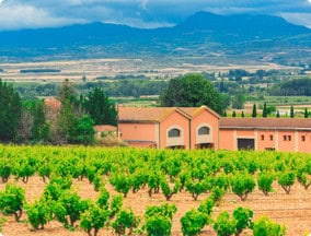 La Riojo vineyards