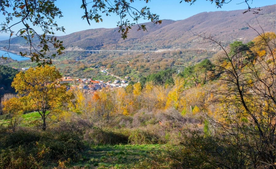 Landscape