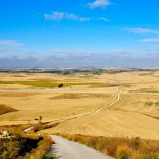 Meseta
